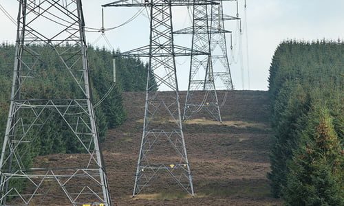 Image of powerline pylons in corridor cut through forested landscape.