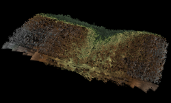 Full point cloud image of Sand Canyon containing over 3.2 billion points