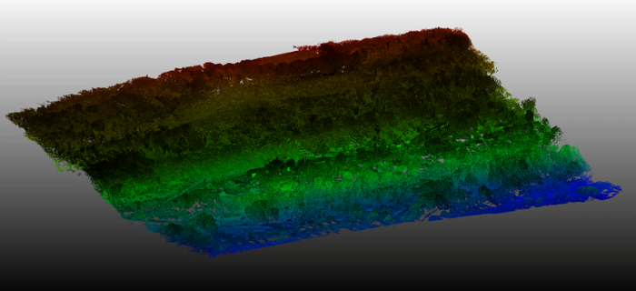 Ystalyfera raw point cloud showing the extensive vegetation coverage across the landslide site