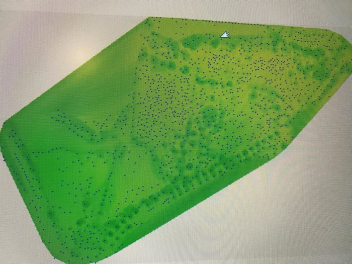 Location of trees at LiDAR survey Old Pumping Station