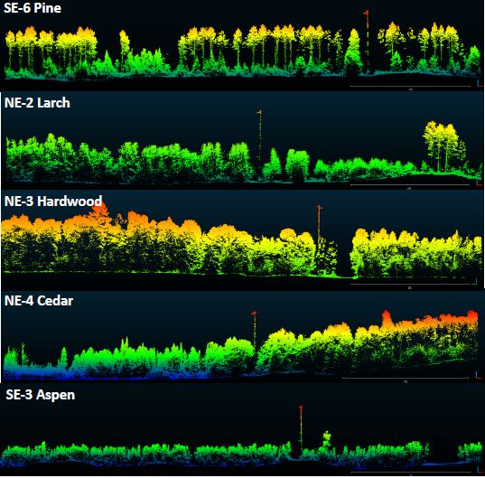 UAS LiDAR forest Northern Wisconsin