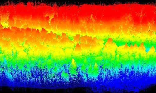 Lidar images of trees on Drummond Hill near Kenmore