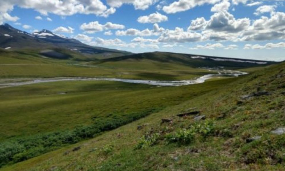 Image of research project in Arctic Tundra