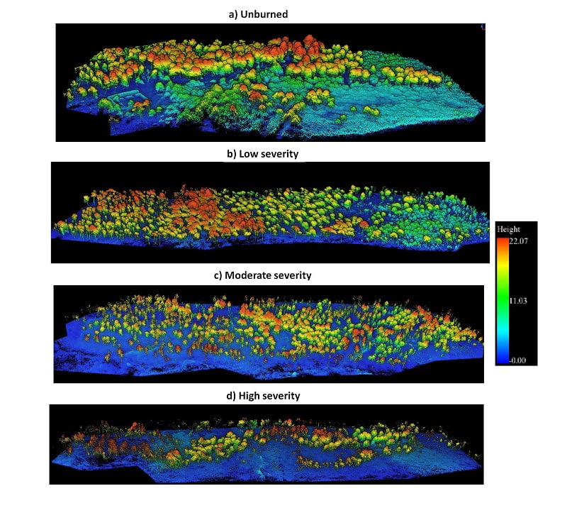 Forest fire point clouds surveyed with Routescene UAV LiDAR system