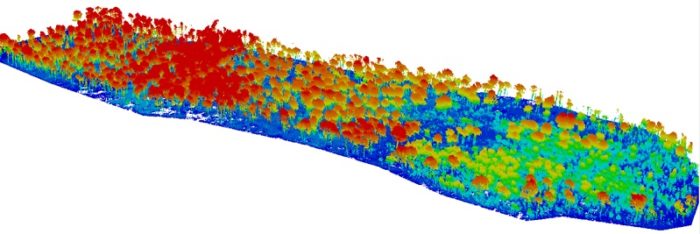 Routescene Forest Fire case study