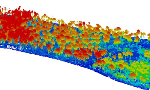 Routescene Forest Fire use case