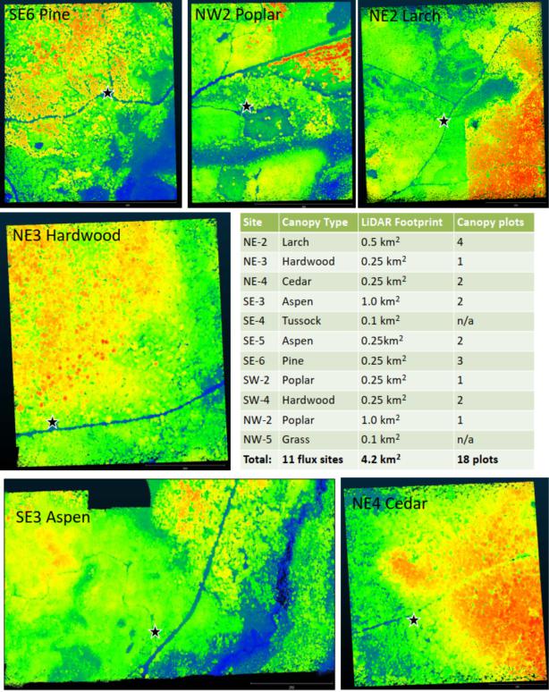 UAS LiDAR forestry point clouds of different sites and canopy types colored by elevation