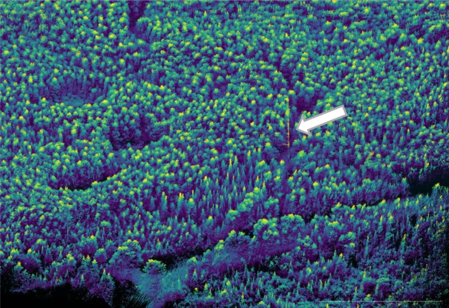 UAV LiDAR point cloud of area around flux tower