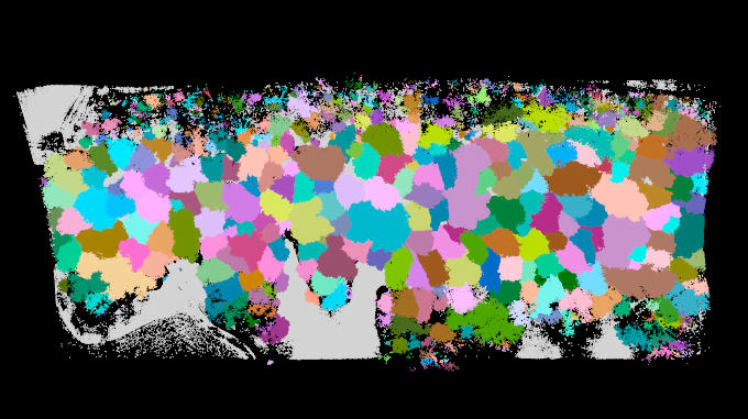 Barnsley forest tree LiDAR classification