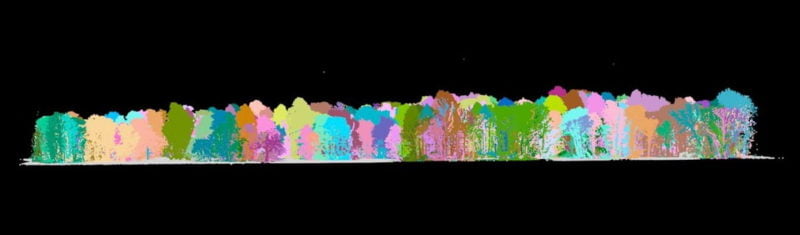 Classification of UAV LiDAR forestry