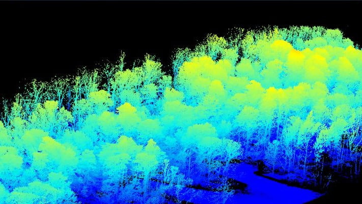LiDAR view of defoliation in forest