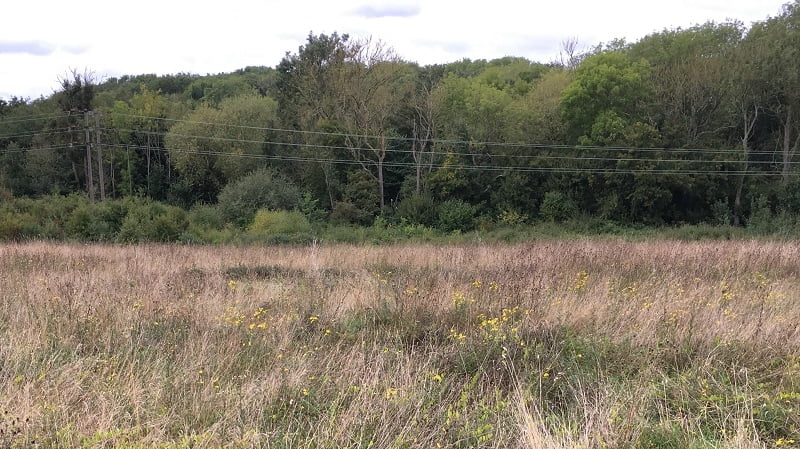 Pound Farm with powerlines