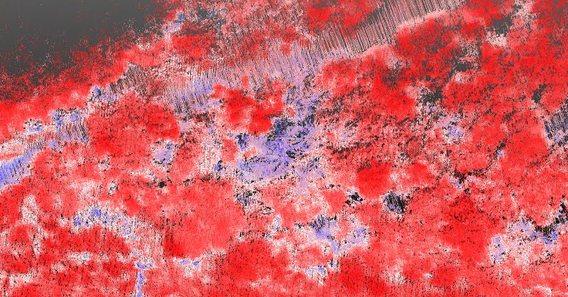 Ash dieback band 4 Pound Farm Routescene UAV LiDAR survey