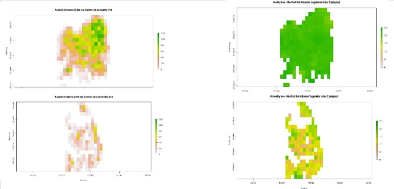 LiDAR and Multispectral Ash dieback tree canopy