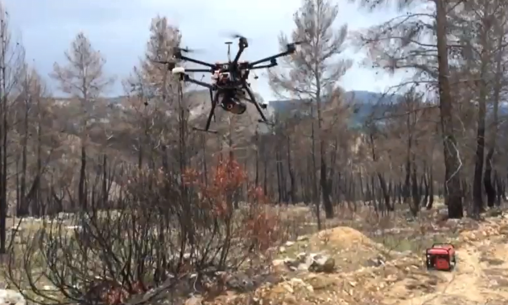 Image of Forest fire damage in Spain surveyed using Routescene UAV LiDAR System